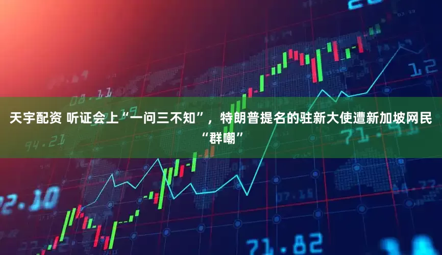 天宇配资 听证会上“一问三不知”，特朗普提名的驻新大使遭新加坡网民“群嘲”