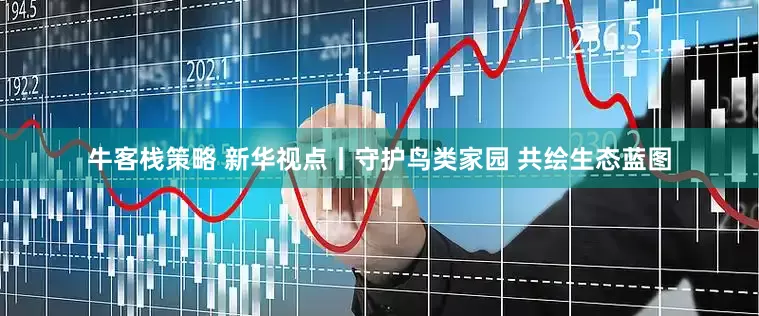 牛客栈策略 新华视点丨守护鸟类家园 共绘生态蓝图