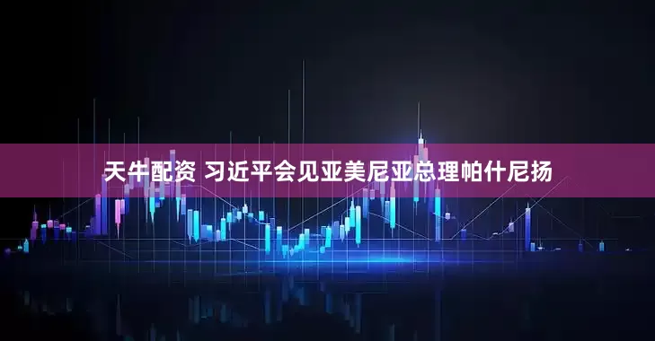 天牛配资 习近平会见亚美尼亚总理帕什尼扬