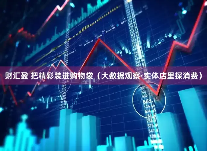 财汇盈 把精彩装进购物袋（大数据观察·实体店里探消费）